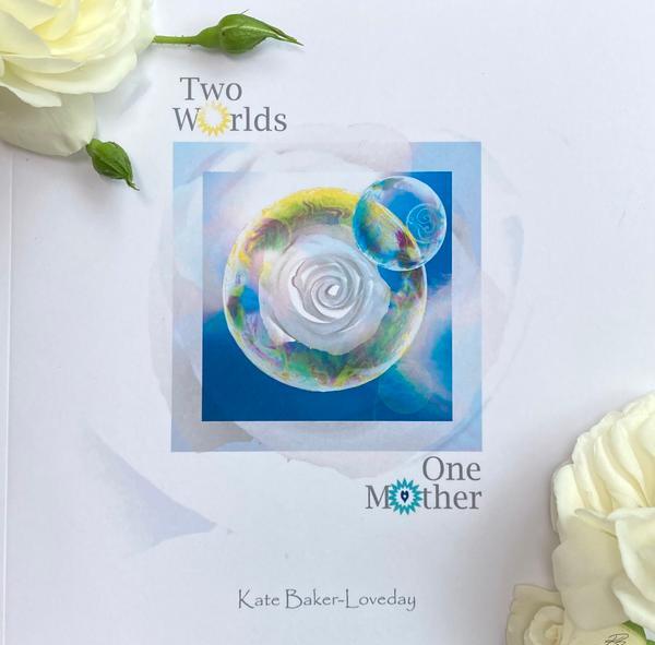 Two Worlds One Mother book image