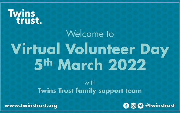 Virtual Volunteer Day flyer