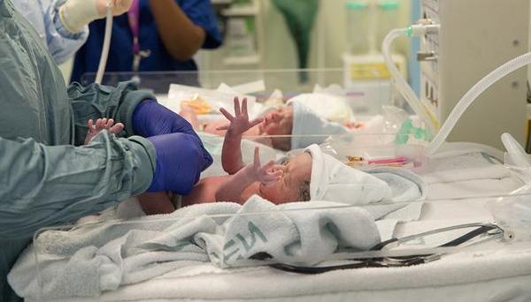 Newborn twins in hospital
