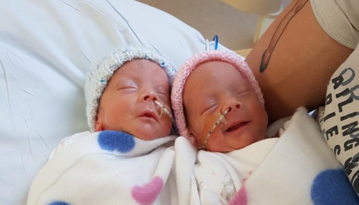 premature twin babies